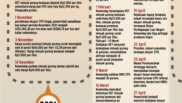 Lini Masa dan Drama Minyak Goreng di Negeri Berlimpah Sawit