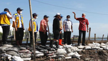Banjir Rob Semarang, Pembuatan Tanggul Jadi Solusi Sementara