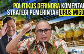Luhut Urus Minyak Goreng, Jokowi Tak Percaya Pejabat Lain?