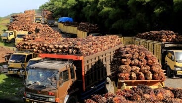 Petani Sawit Tak Setuju Subsidi Migor Dicabut dan DMO Kembali Berlaku