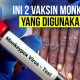 AS Gunakan 2 Vaksin Atasi Cacar Monyet, Bagaimana Indonesia?