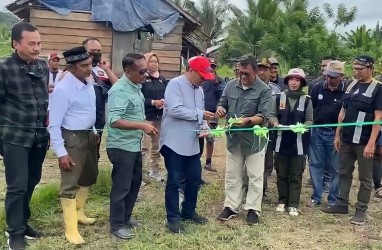 Seger Agro Nusantara Kolaborasi Budidaya Jagung di Tojo Una-Una, Sulteng