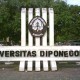 Simak Syarat, Prosedur dan Biaya Pendaftaran Seleksi Mandiri Universitas Diponegoro Tahun 2022