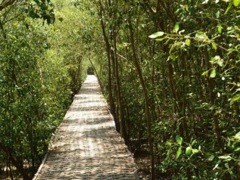Elnusa Petrofin Kembangkan Area Pembenihan Bakau di Belitung Mangrove Park