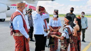 Jokowi Sebut Sorgum Bisa Jadi Alternatif Pangan Selain Beras dan Jagung