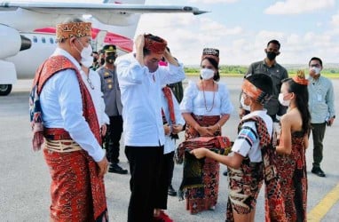 Jokowi Sebut Sorgum Bisa Jadi Alternatif Pangan Selain Beras dan Jagung