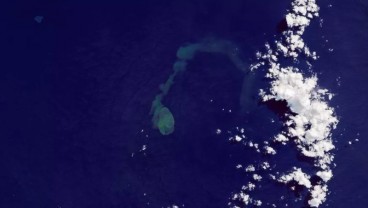 Mengenal Sharkcano, Letusan Gunung Berapi yang Ganggu Habitat Hiu