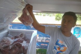 Daging Kerbau Impor Datang dari India, Bulog: Bebas…