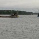 Kelola Pelabuhan Perikanan, PT Perikanan Indonesia Gaet KLHK 