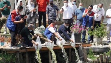 PHR WK Rokan Luncurkan ProKlim di Tiga Kabupaten/Kota di Riau