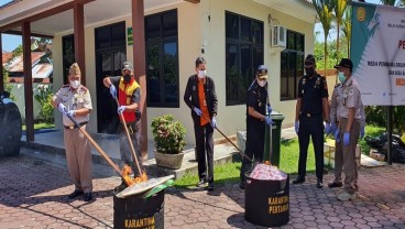 Kenapa Pemerintah Musnahkan Bibit Tanaman dari Israel, Malaysia, Thailand, Prancis?