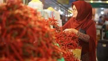 Harga Cabai Merah di Sumbar Capai Rp75.000 Per Kg