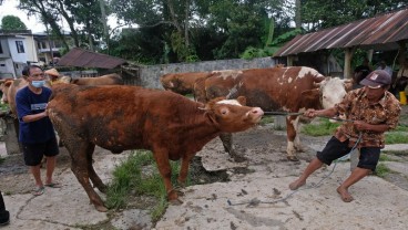 Temanggung Tutup Sementara Pasar Hewan