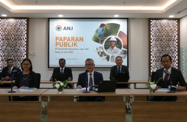 Harga CPO 2022 Masih Bullish, Austindo (ANJT) Tingkatkan Produksi