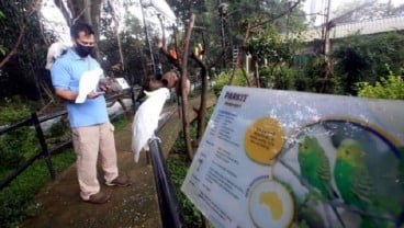 Kebun Binatang Bandung Terancam Disegel, Nunggak Sewa Lahan Hingga Rp1,2 Miliar