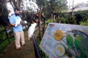Kebun Binatang Bandung Terancam Disegel, Nunggak Sewa Lahan Hingga Rp1,2 Miliar