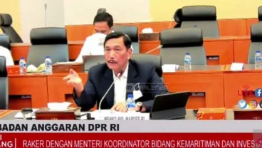 Luhut: Ford Bakal Kunjungi Indonesia, Investasi Baru Lagi?