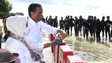 Pesan Jokowi di Wakatobi: Lestarikan Terumbu Karang