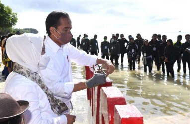 Pesan Jokowi di Wakatobi: Lestarikan Terumbu Karang