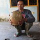 Penemuan Guci Era Dinasti Tang di Klaten, Diawali Adanya Wangsit