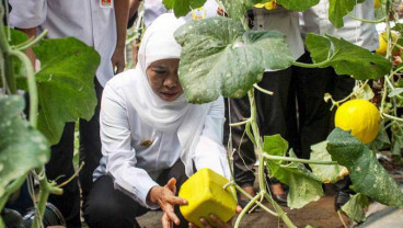Kadin Jatim Tawarkan Investasi Bidang Pertanian kepada Thailand