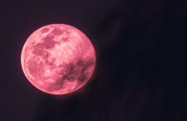 Saksikan Indahnya Fenomena Bulan Purnama Strawberry Moon, 14 Juni 2022