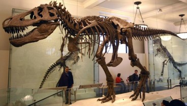 Fosil Mirip Dinosaurus T-Rex Ditemukan di Mesir, Usianya 98 Juta Tahun