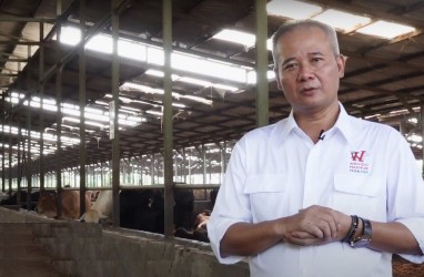 Absen Bagi Dividen, Widodo Makmur Perkasa (WMPP) Bakal Tambah Usaha Bidang Energi