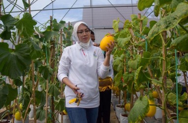 Tak Hanya Puslitbang, Kebon Ambu Purwakarta Juga Dirancang Jadi Destinasi Wisata