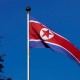 Korea Utara Dihantui Penyakit Misterius, Apa Itu?