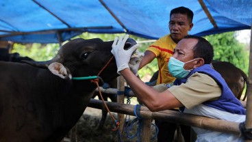 Jelang Iduladha dan Cegah PMK, ID Food Distribusi Ternak Sehat  dan Impor Daging dari Brasil