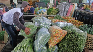 Harga Saturan Alami Kenaikan Yang Signifikan