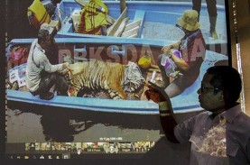 KLHK Ringkus Pemilik Puluhan Opsetan Satwa Dilindungi