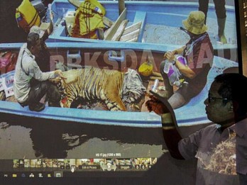 KLHK Ringkus Pemilik Puluhan Opsetan Satwa Dilindungi