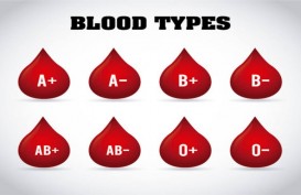Ini Lho 2 Golongan Darah yang Paling Berisiko Sakit Jantung