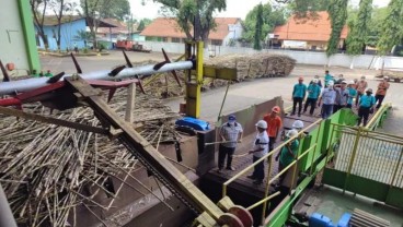 Lima Pabrik Gula PTPN X Memulai Giling Tebu pada Juni 2022 