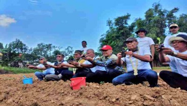 Madura Siapkan Optimalisasi Hulu - Hilir Hasil Tembakau