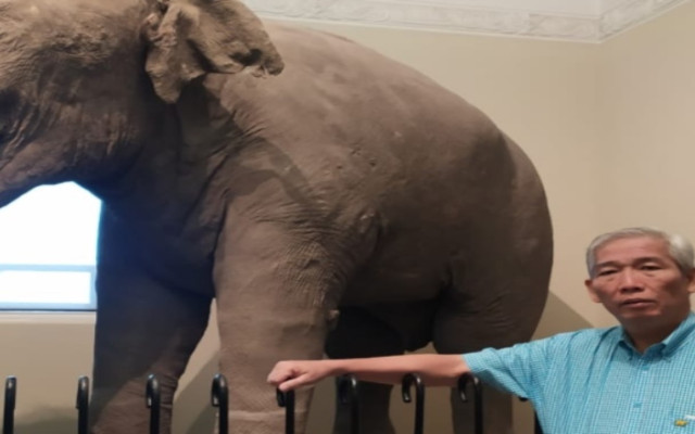 Lo Kheng Hong Borong Lagi Saham Gajah Tunggal GJTL