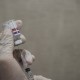 Kota Semarang Terus Mendorong Warga Vaksin Booster