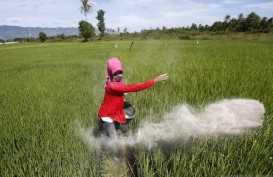 Redistribusi Pupuk Harus Diimbangi Perbaikan Data Petani