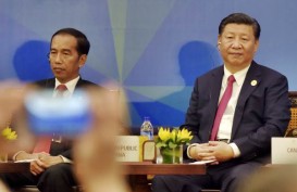 Jokowi dan Xi Jinping akan Jajal Kereta Cepat Jakarta-Bandung November 2022