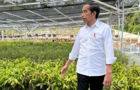 Jokowi Optimistis Pembangunan IKN Berjalan Lancar