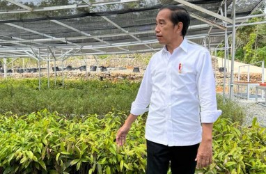 Jokowi Optimistis Pembangunan IKN Berjalan Lancar