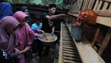 Ekonom Ingatkan Manajemen Stok untuk Jaga Stabilitas Pangan di Jateng