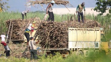 APTRI Jabar Minta Kementerian BUMN Revitalisasi Pabrik Gula