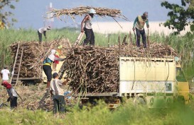 APTRI Jabar Minta Kementerian BUMN Revitalisasi Pabrik Gula