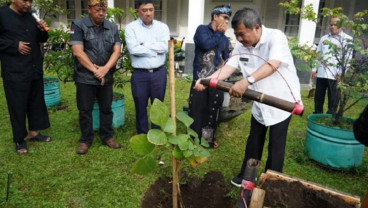 Tidak Hanya Domba, Garut Jadikan Pohon Samida sebagai Ikon