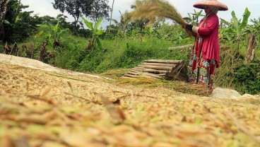 Dapat Dukungan BPUM-PIP, Bupati Kendal Minta Petani Manfaatkan Pinjaman Legal