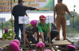 Aksi Peduli Lingkungan, Pegadaian Tanam 5.000 Pohon di Teluk Naga