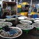 Omzet Pedagang Grosir Ikan di Muara Angke Turun 30 Persen